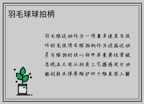 羽毛球球拍柄