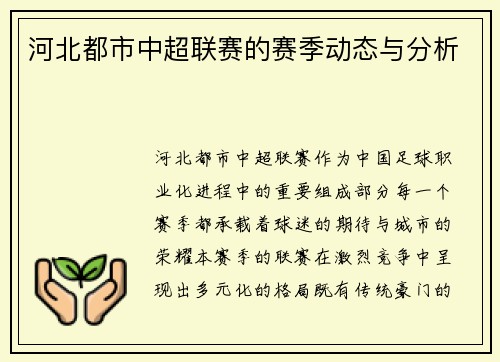 河北都市中超联赛的赛季动态与分析